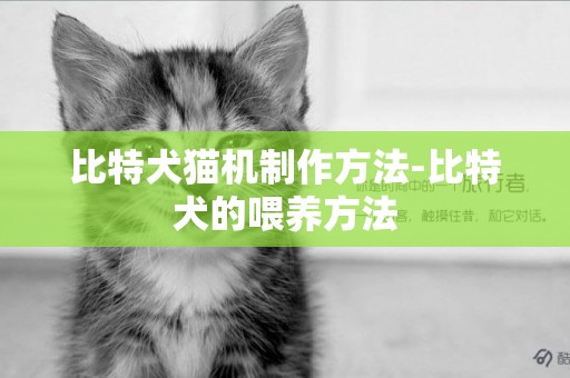 比特犬貓機制作方法-比特犬的喂養方法