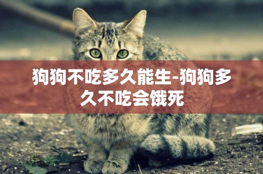 狗狗不吃多久能生-狗狗多久不吃會餓死