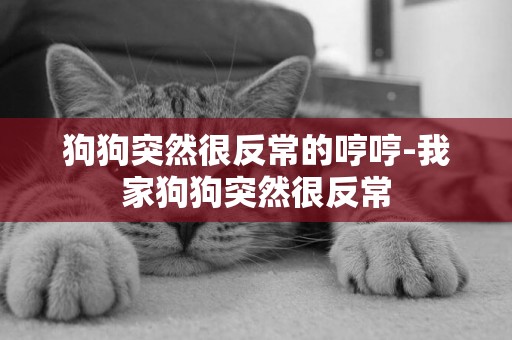狗狗突然很反常的哼哼-我家狗狗突然很反常