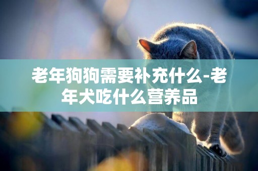 老年狗狗需要補充什么-老年犬吃什么營養品