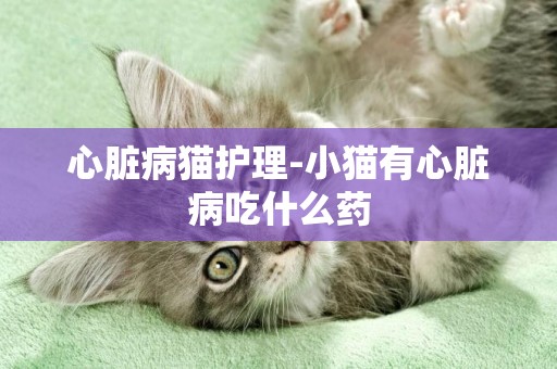 心臟病貓護理-小貓有心臟病吃什么藥