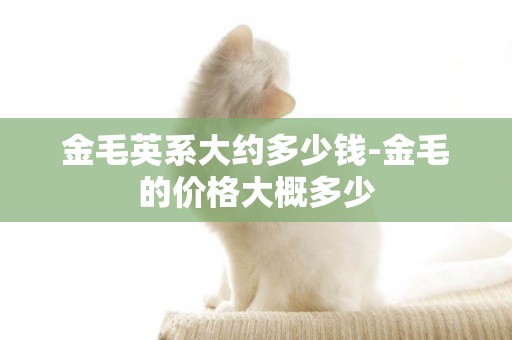 金毛英系大約多少錢-金毛的價格大概多少