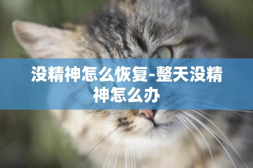沒精神怎么恢復-整天沒精神怎么辦