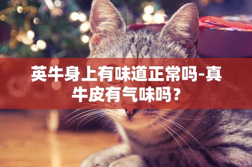 英牛身上有味道正常嗎-真牛皮有氣味嗎？