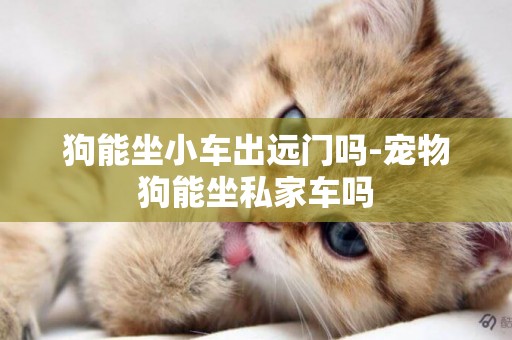 狗能坐小車出遠門嗎-寵物狗能坐私家車嗎