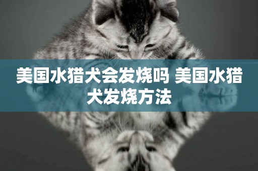 美國水獵犬會發燒嗎 美國水獵犬發燒方法
