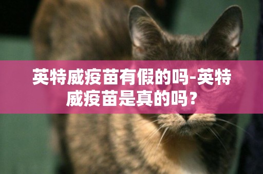 英特威疫苗有假的嗎-英特威疫苗是真的嗎？