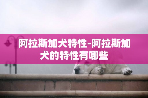 阿拉斯加犬特性-阿拉斯加犬的特性有哪些