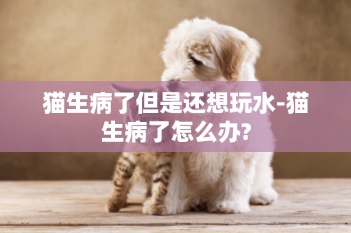 貓生病了但是還想玩水-貓生病了怎么辦?