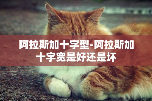 阿拉斯加十字型-阿拉斯加十字寬是好還是壞
