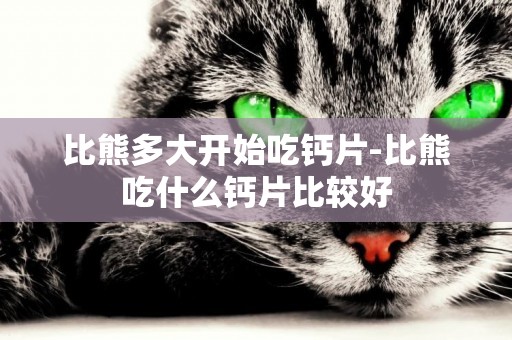 比熊多大開始吃鈣片-比熊吃什么鈣片比較好