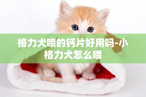 格力犬喂的鈣片好用嗎-小格力犬怎么喂