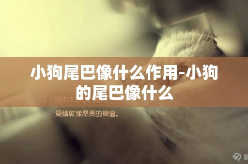 小狗尾巴像什么作用-小狗的尾巴像什么