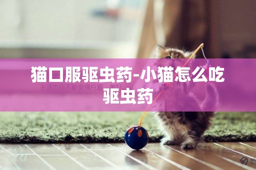 貓口服驅蟲藥-小貓怎么吃驅蟲藥