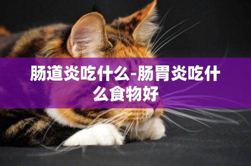腸道炎吃什么-腸胃炎吃什么食物好