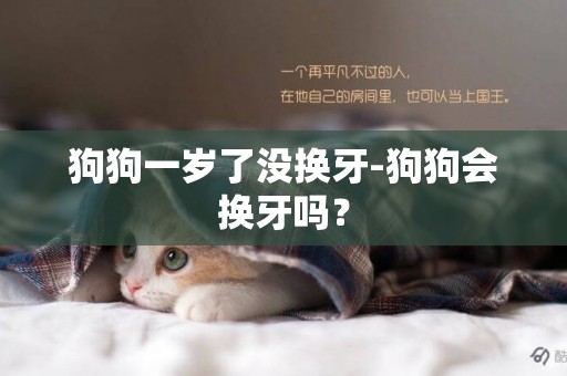 狗狗一歲了沒換牙-狗狗會換牙嗎？