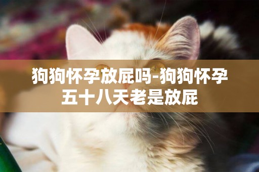 狗狗懷孕放屁嗎-狗狗懷孕五十八天老是放屁