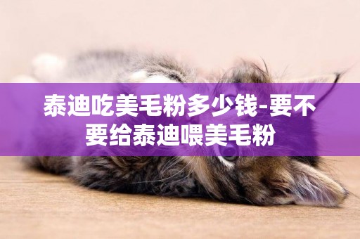 泰迪吃美毛粉多少錢-要不要給泰迪喂美毛粉