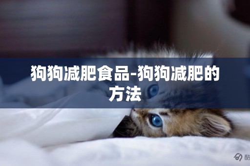 狗狗減肥食品-狗狗減肥的方法