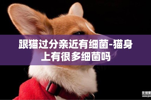 跟貓過分親近有細菌-貓身上有很多細菌嗎