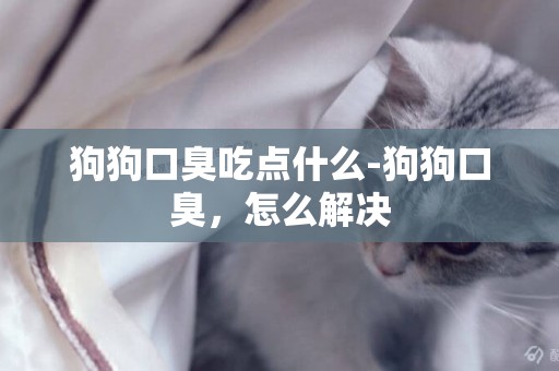 狗狗口臭吃點什么-狗狗口臭，怎么解決