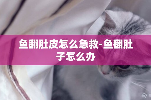 魚翻肚皮怎么急救-魚翻肚子怎么辦