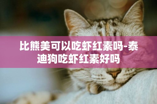 比熊美可以吃蝦紅素嗎-泰迪狗吃蝦紅素好嗎