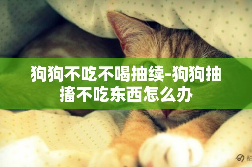 狗狗不吃不喝抽續-狗狗抽搐不吃東西怎么辦