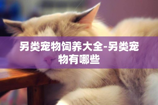 另類寵物飼養大全-另類寵物有哪些