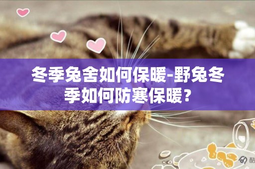 冬季兔舍如何保暖-野兔冬季如何防寒保暖？