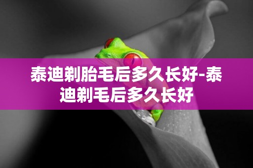 泰迪剃胎毛后多久長好-泰迪剃毛后多久長好