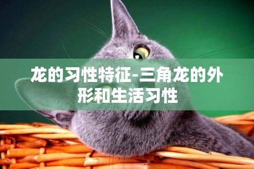 龍的習性特征-三角龍的外形和生活習性