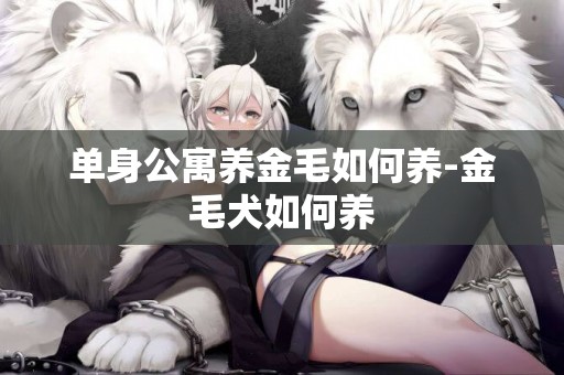 單身公寓養金毛如何養-金毛犬如何養