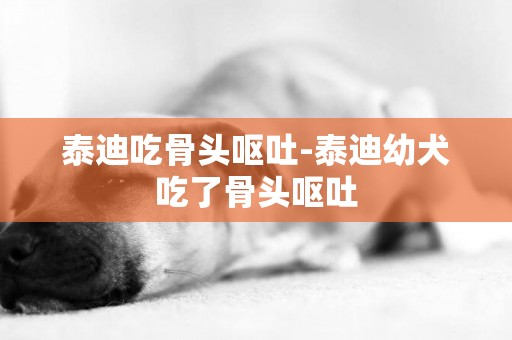 泰迪吃骨頭嘔吐-泰迪幼犬吃了骨頭嘔吐