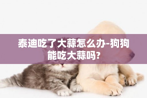泰迪吃了大蒜怎么辦-狗狗能吃大蒜嗎?