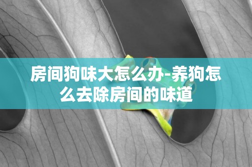 房間狗味大怎么辦-養狗怎么去除房間的味道