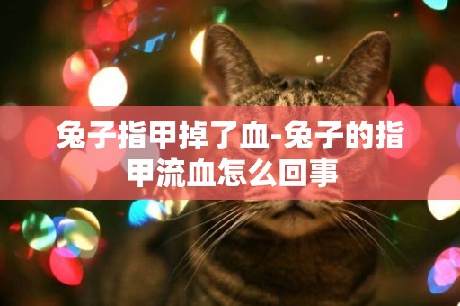 兔子指甲掉了血-兔子的指甲流血怎么回事