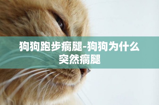 狗狗跑步瘸腿-狗狗為什么突然瘸腿