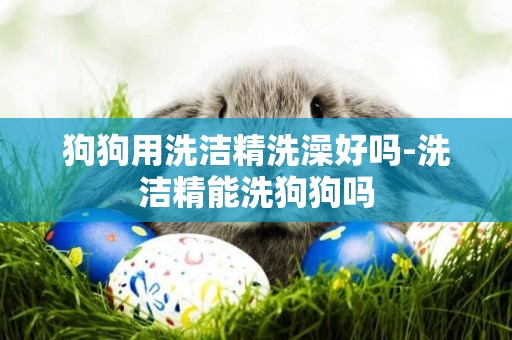 狗狗用洗潔精洗澡好嗎-洗潔精能洗狗狗嗎
