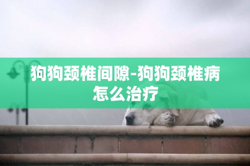 狗狗頸椎間隙-狗狗頸椎病怎么治療