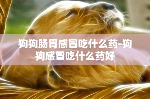 狗狗腸胃感冒吃什么藥-狗狗感冒吃什么藥好