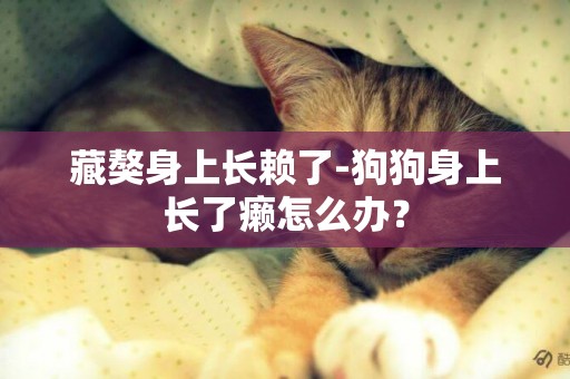 藏獒身上長賴了-狗狗身上長了癩怎么辦？