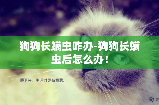 狗狗長螨蟲咋辦-狗狗長螨蟲后怎么辦！