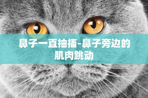 鼻子一直抽搐-鼻子旁邊的肌肉跳動