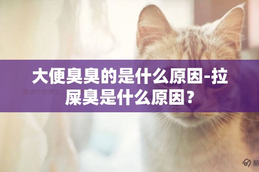 大便臭臭的是什么原因-拉屎臭是什么原因？
