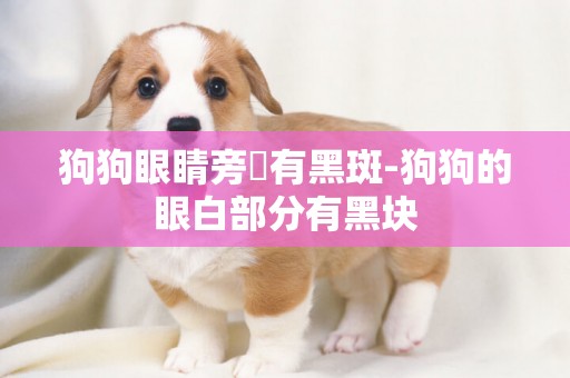 狗狗眼睛旁邊有黑斑-狗狗的眼白部分有黑塊