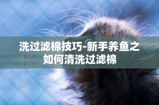 洗過濾棉技巧-新手養魚之如何清洗過濾棉