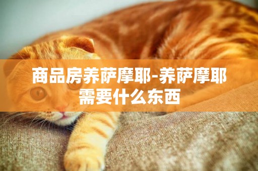 商品房養薩摩耶-養薩摩耶需要什么東西
