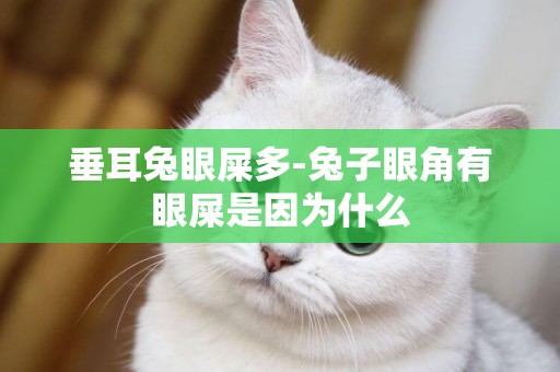 垂耳兔眼屎多-兔子眼角有眼屎是因為什么