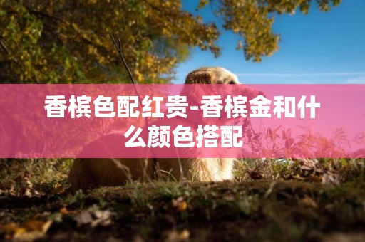 香檳色配紅貴-香檳金和什么顏色搭配